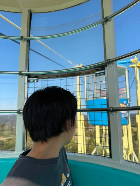 観覧車から外を見る子ども